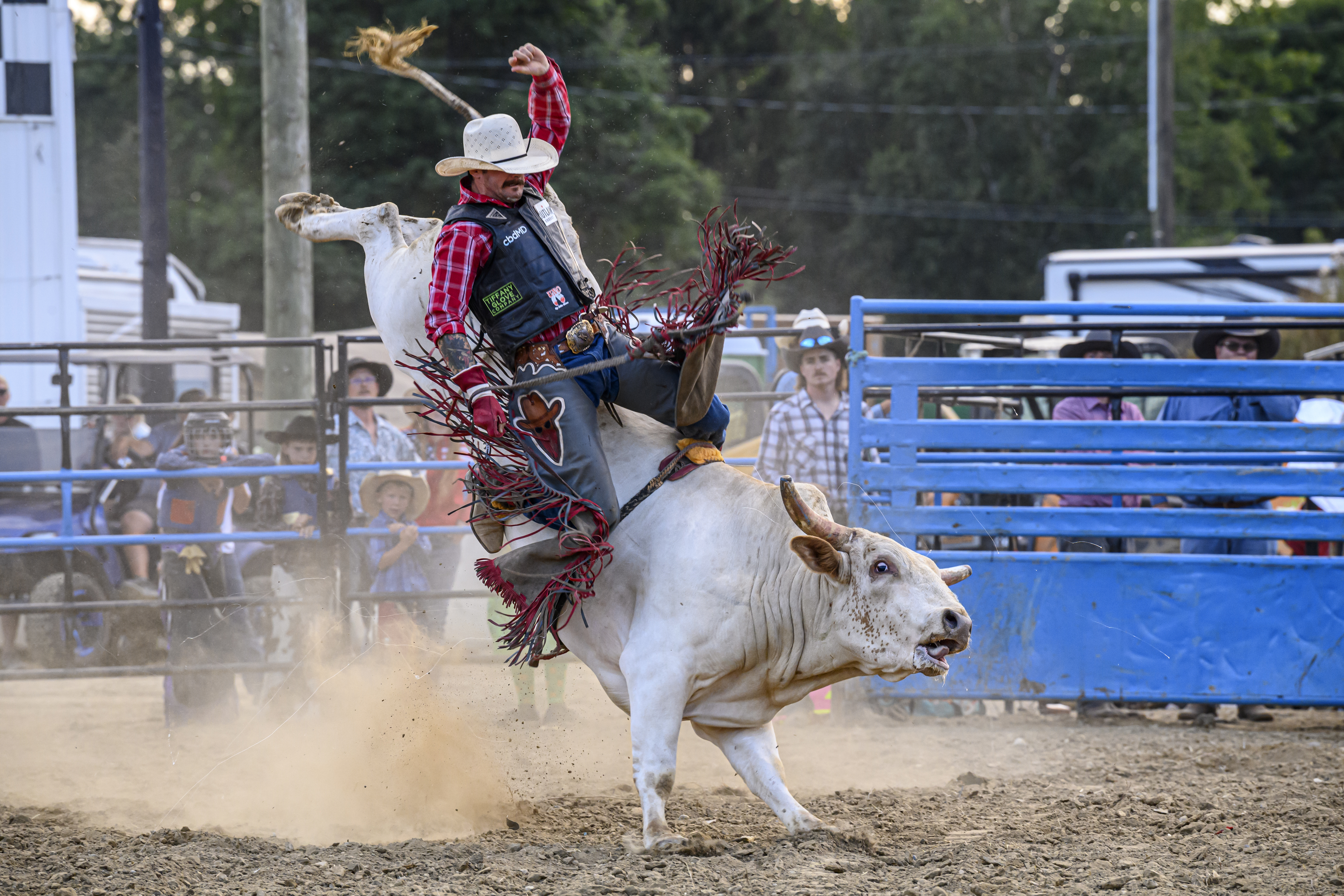 Eastern Michigan State Fair Bull Riding